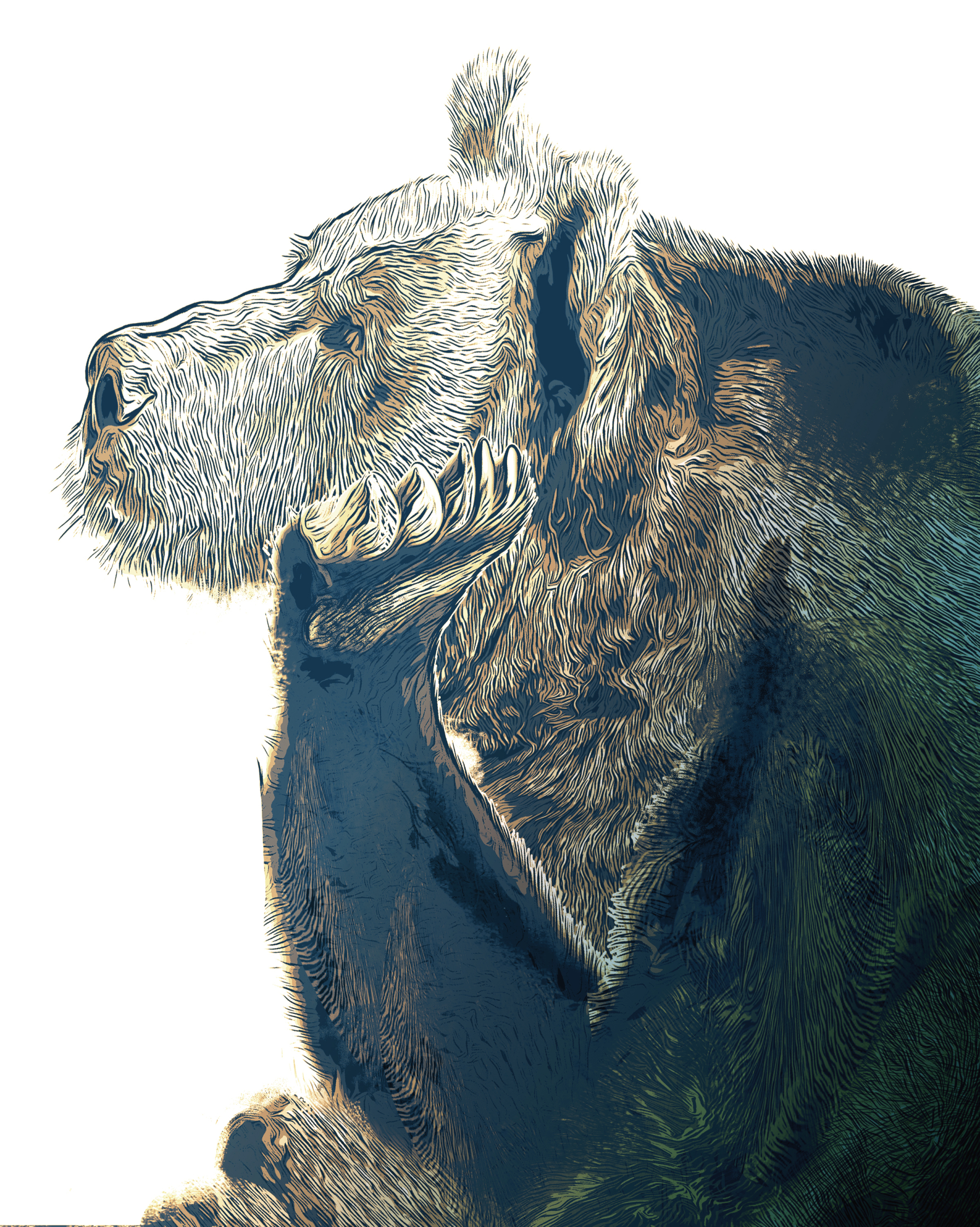 Bear - Chris Malbon - Debut Art