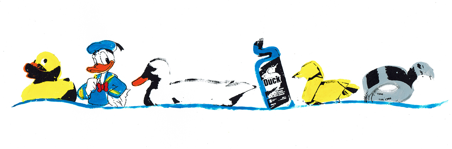 roomzzz_keeping_your_ducks_in_a_row_screenprint_katie_edwards_illustration.jpg