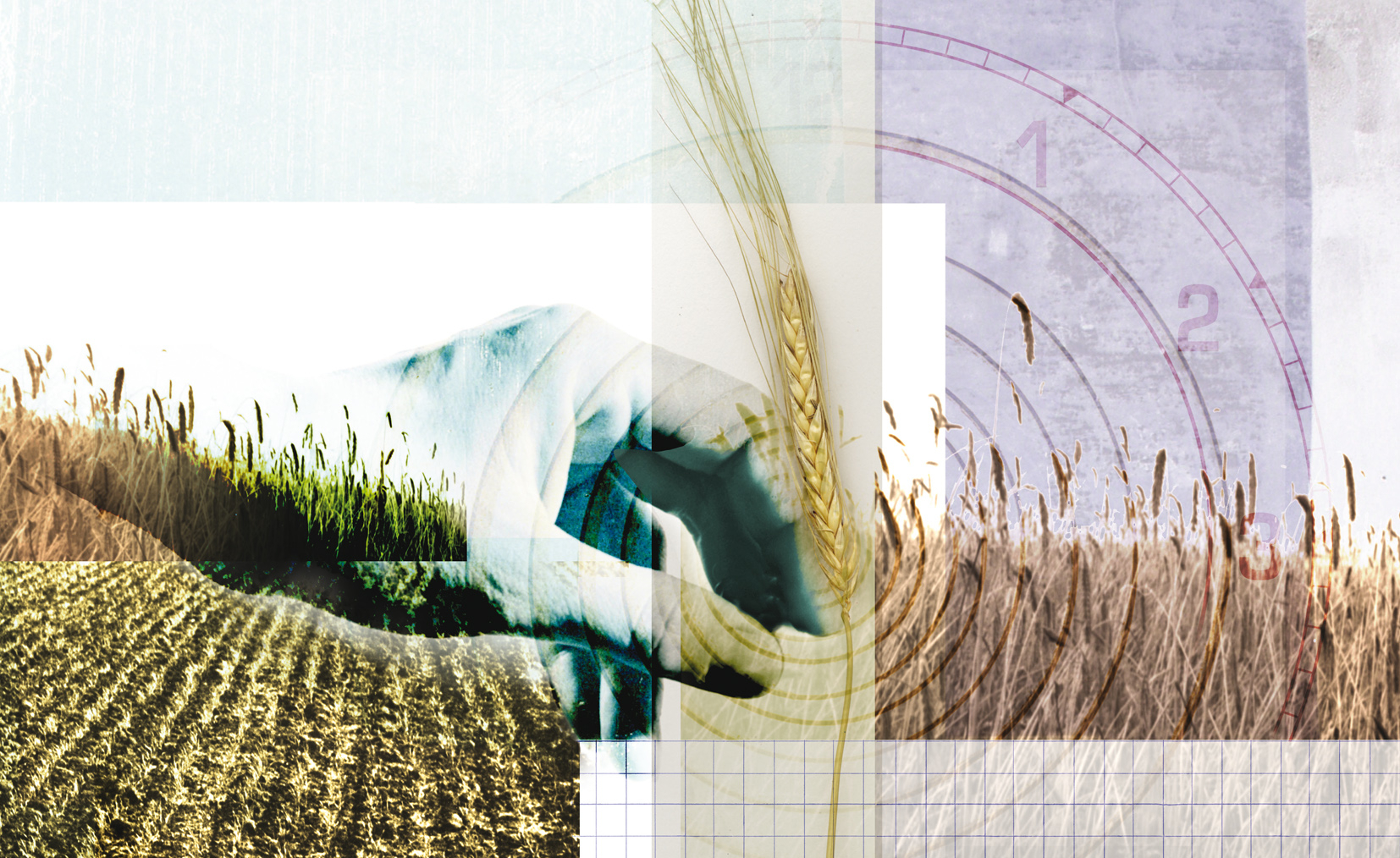 Harvest Bread Agriculture Feeding the World Ecology