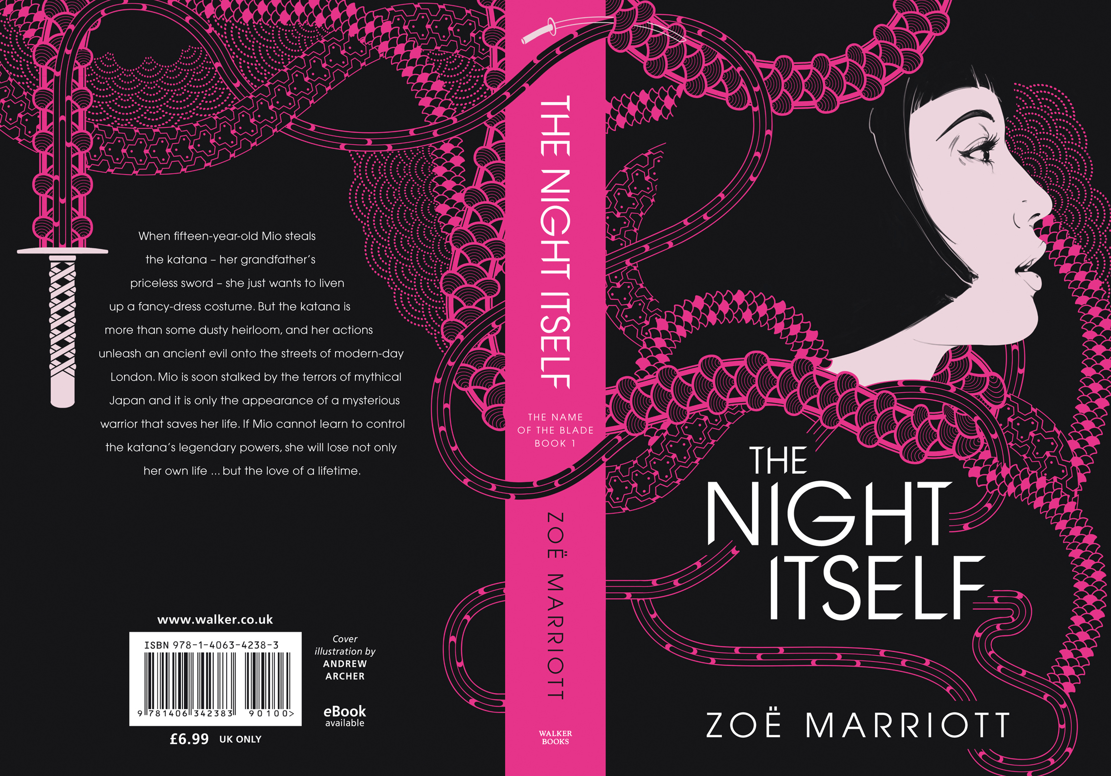 The Night Itself Book Cover