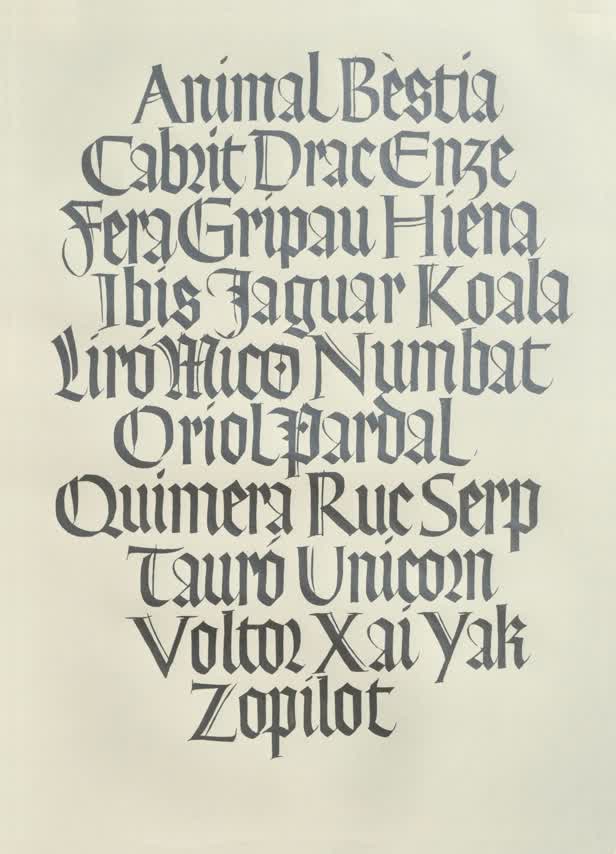 Plata Blanc Lettering