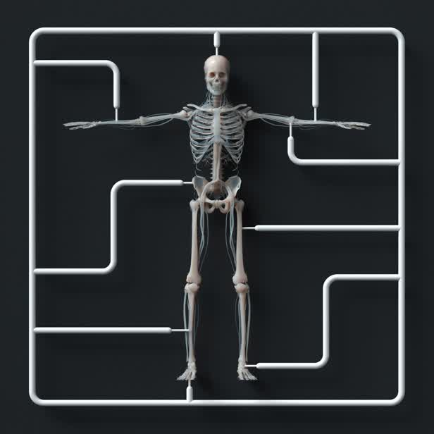 Skeleton-Kit.jpg
