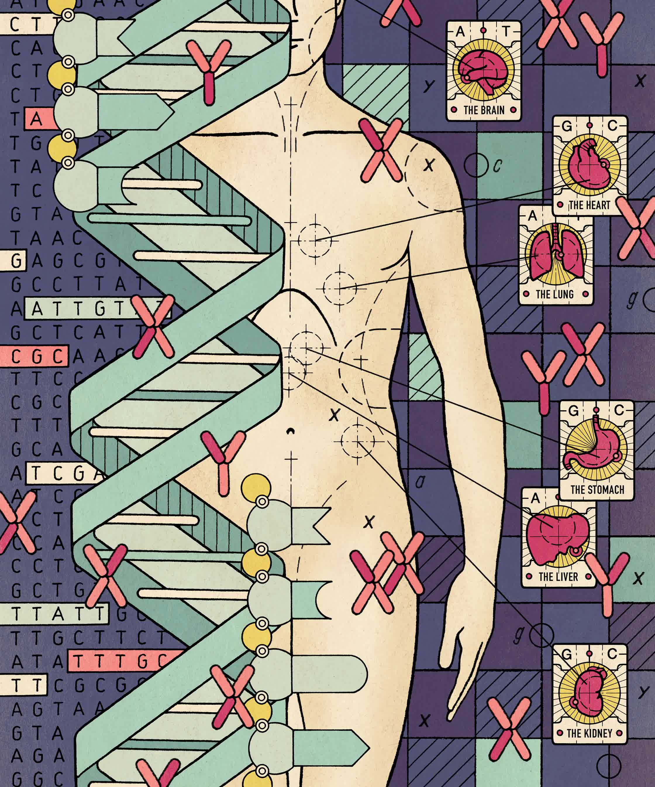 New Scientist_Genetic Fortune Telling.jpg