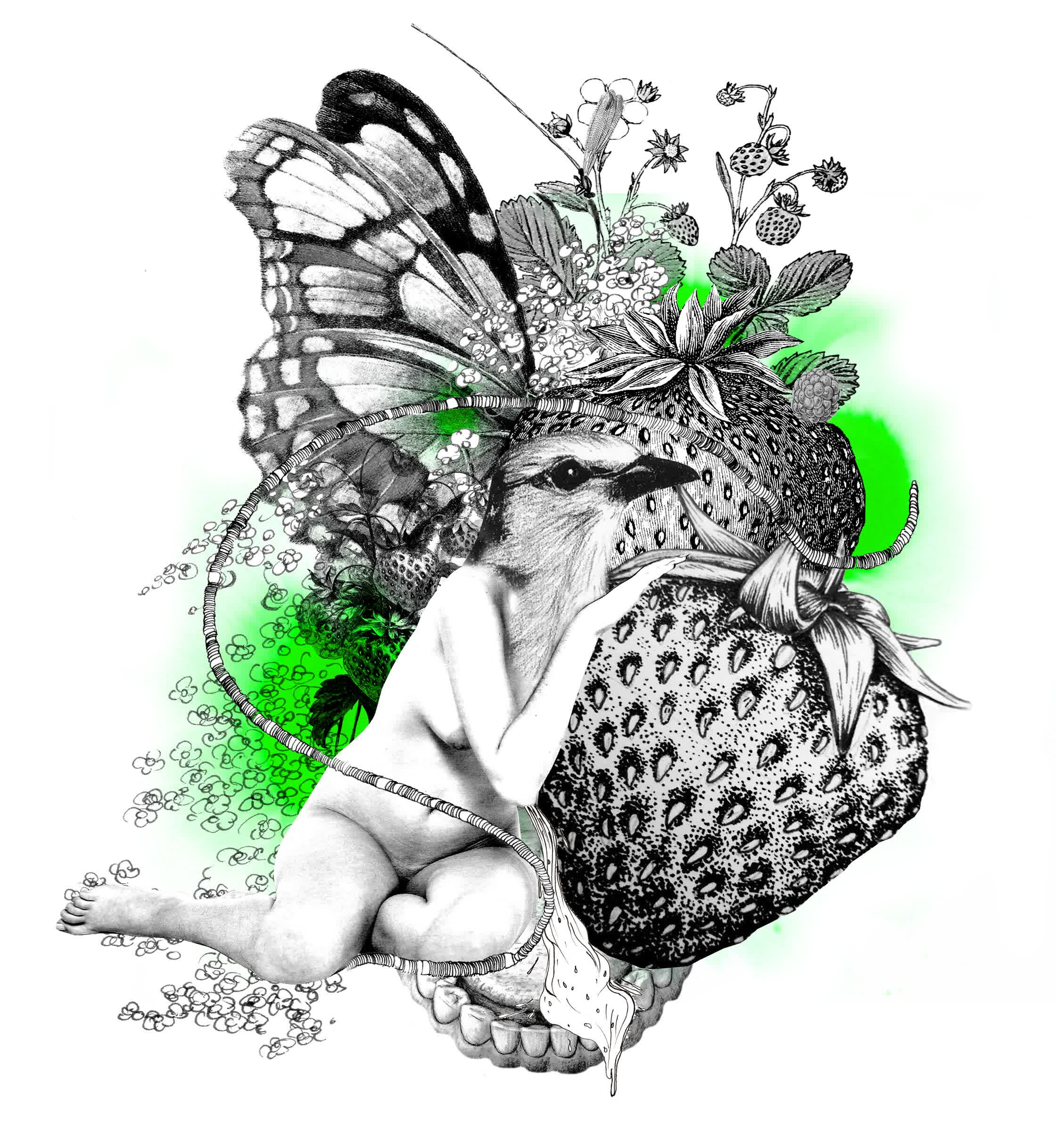 strawberry_personal_limited edition print.jpg
