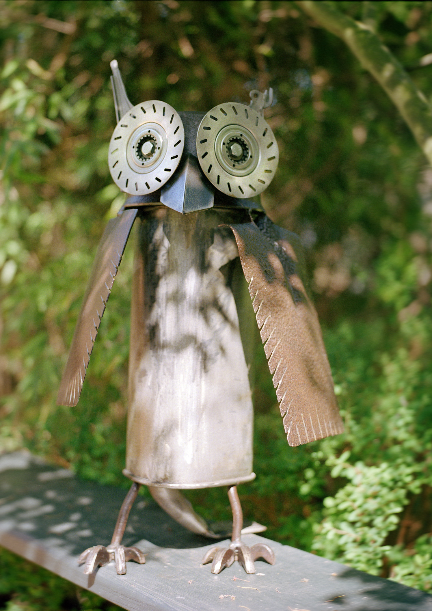 Owl Sculpture Show Brighton Festival