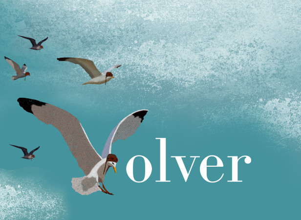 Cover for El Ciervo - Volver.jpg