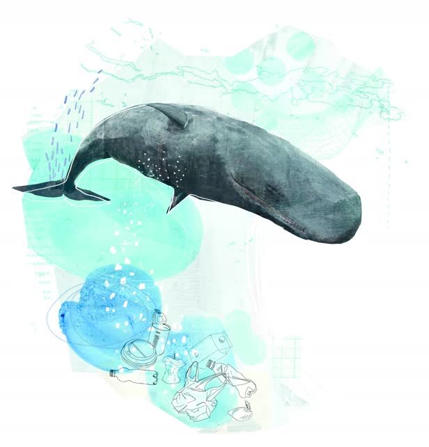 Environment Plastic / Coaster 2018
