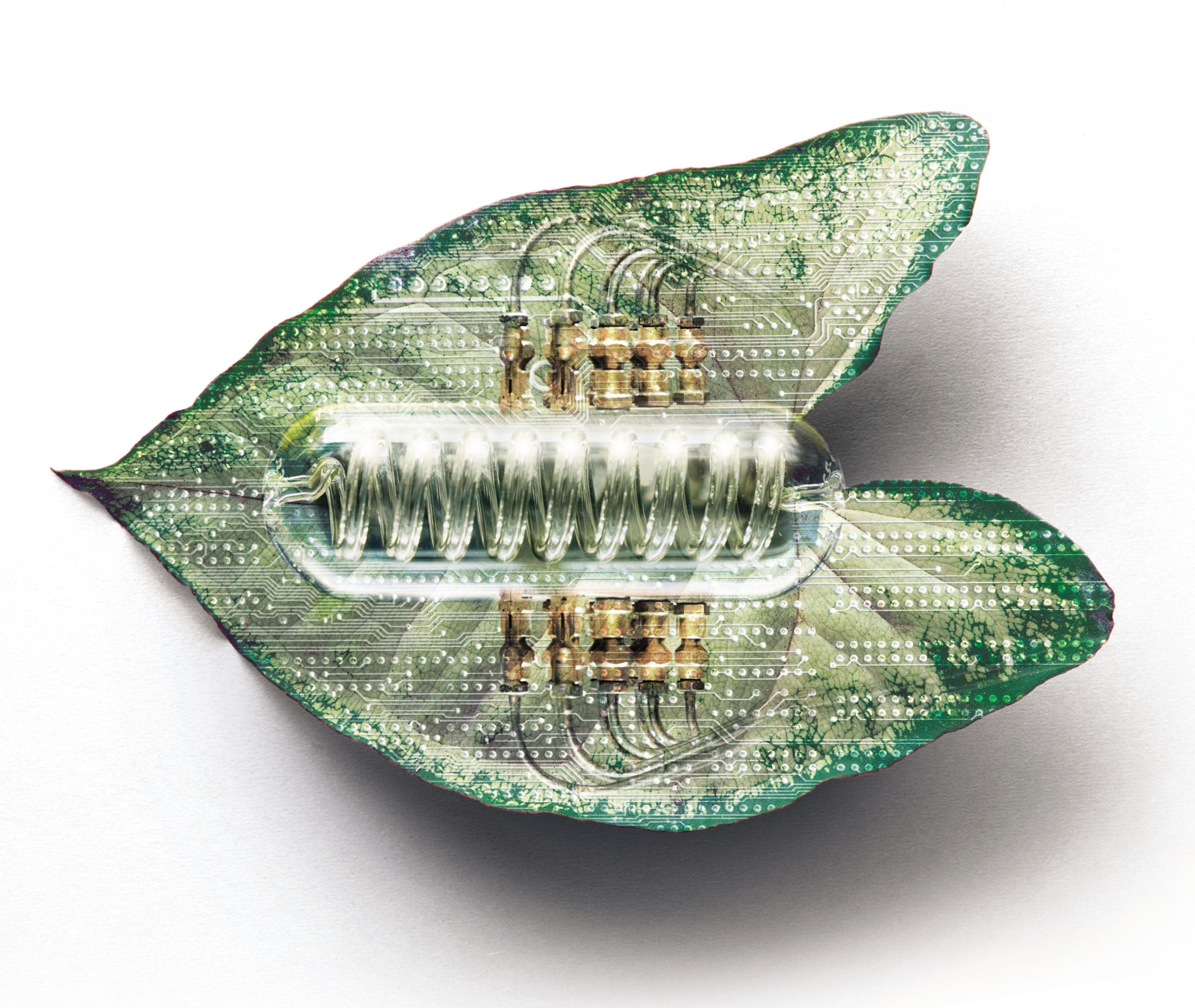 Artificial Leaf / Nature Magazine