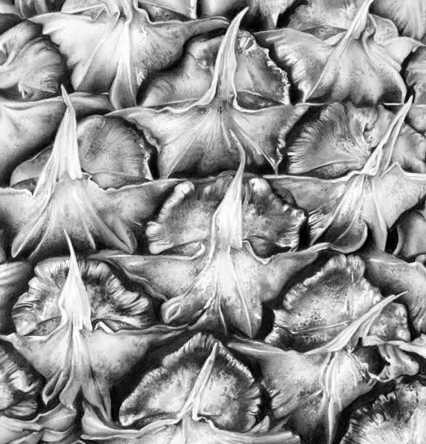 Pineapple Skin Detail