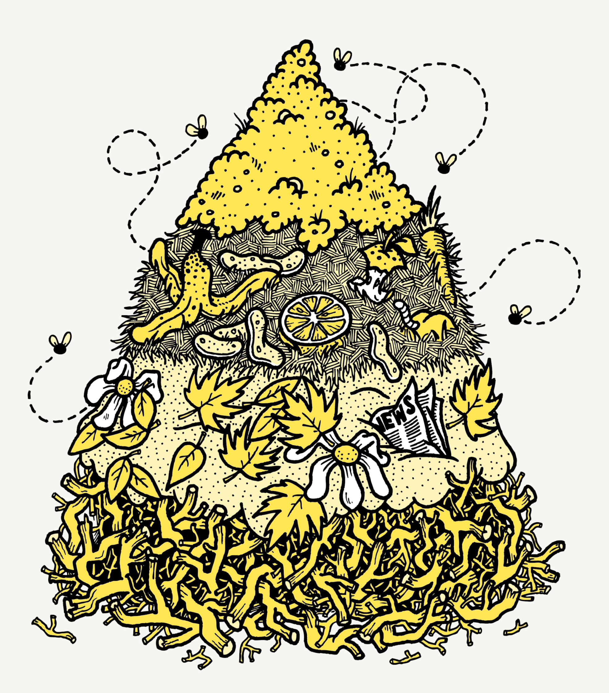 Dollar_Shave_Club-Compost.jpg