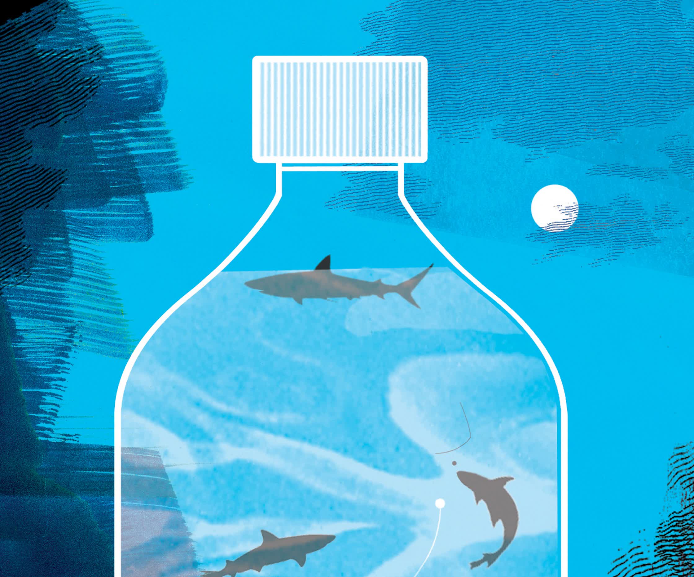 Shark infested water - Self Initiated.jpg