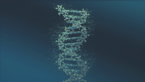 Animated DNA