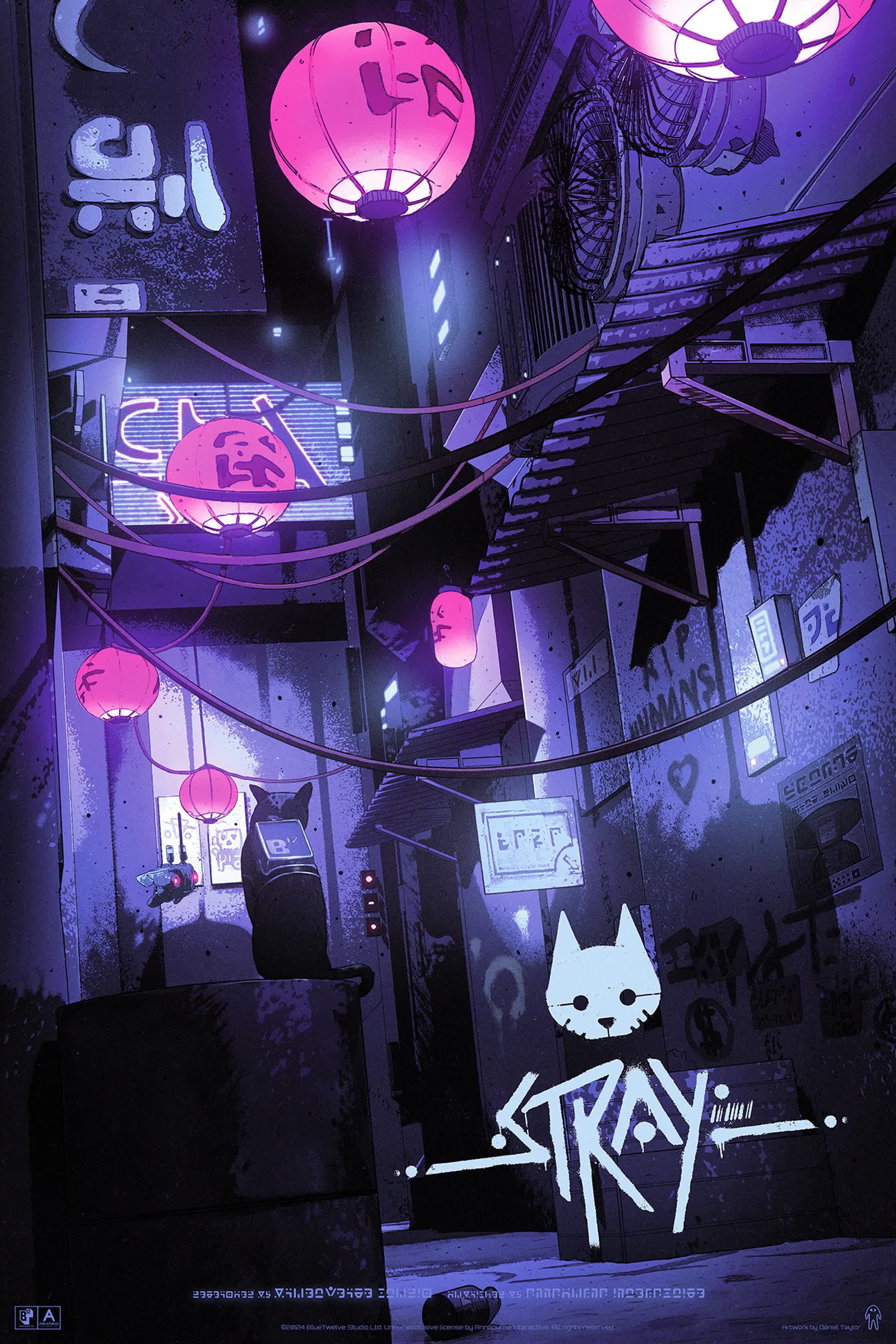 Daniel Taylor_Stray.jpg