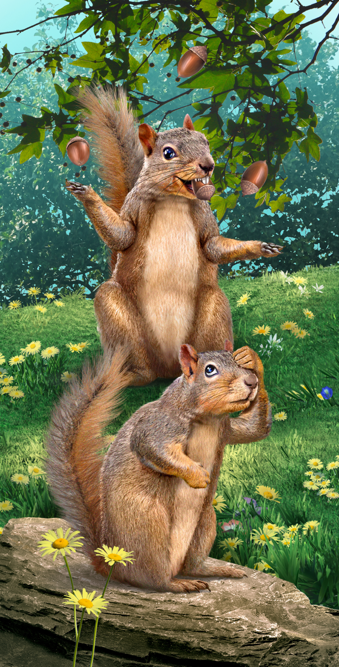 Squirrels