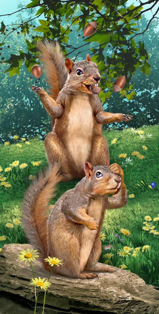 Squirrels