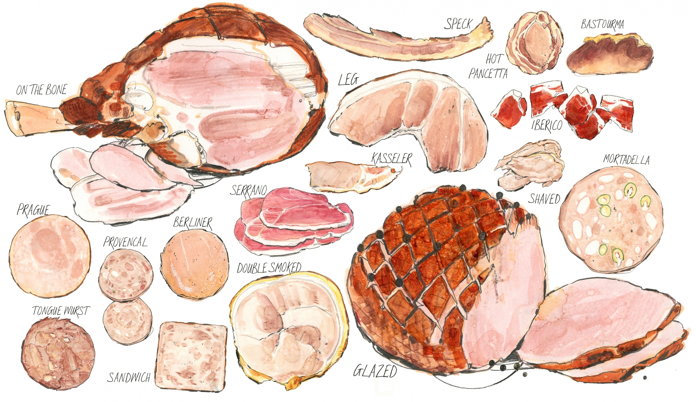 M&S Ham Test.jpg