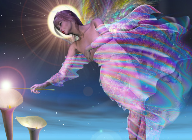 Fairy Magic Book Cover