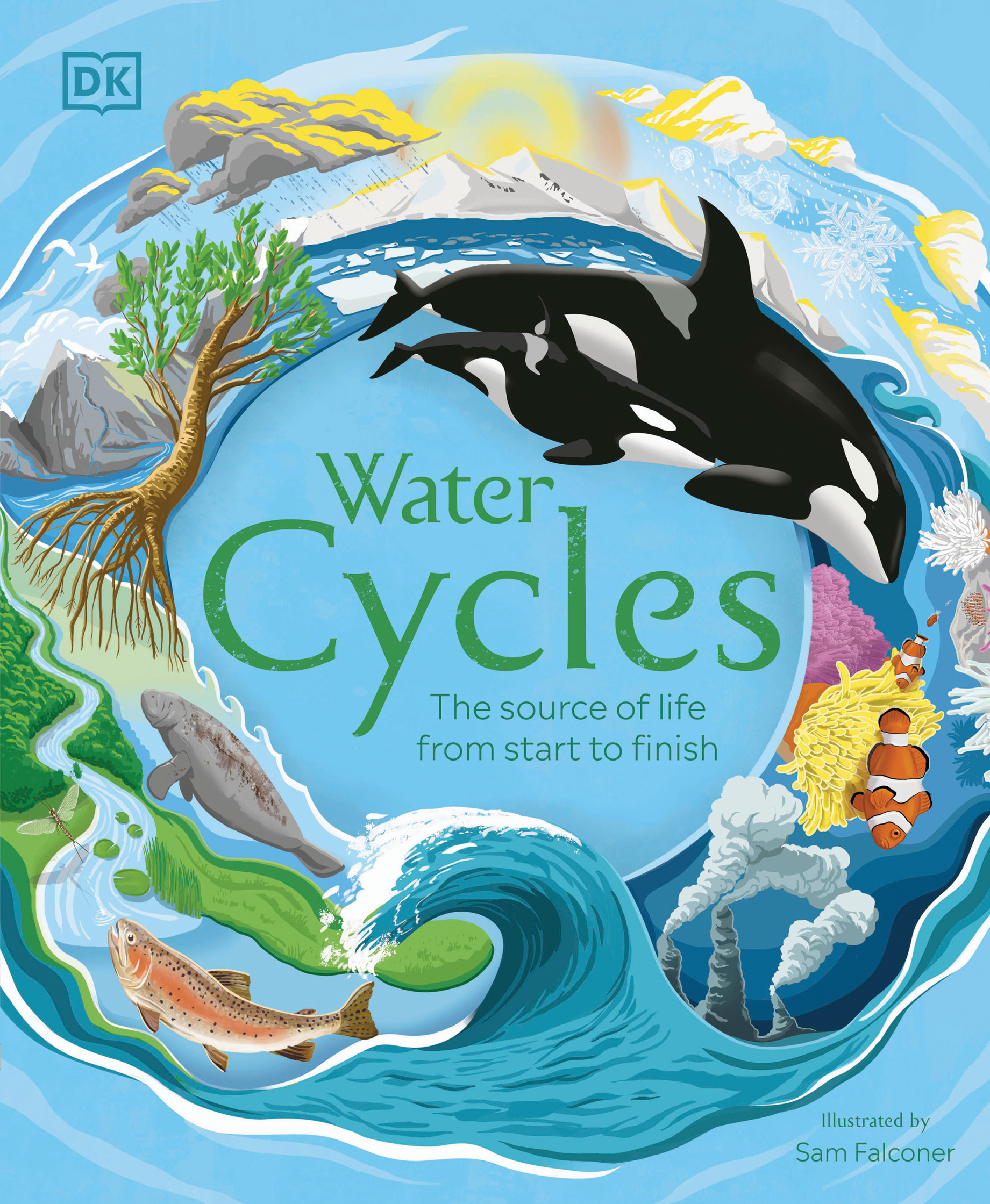 Water Cycles for DK.jpg