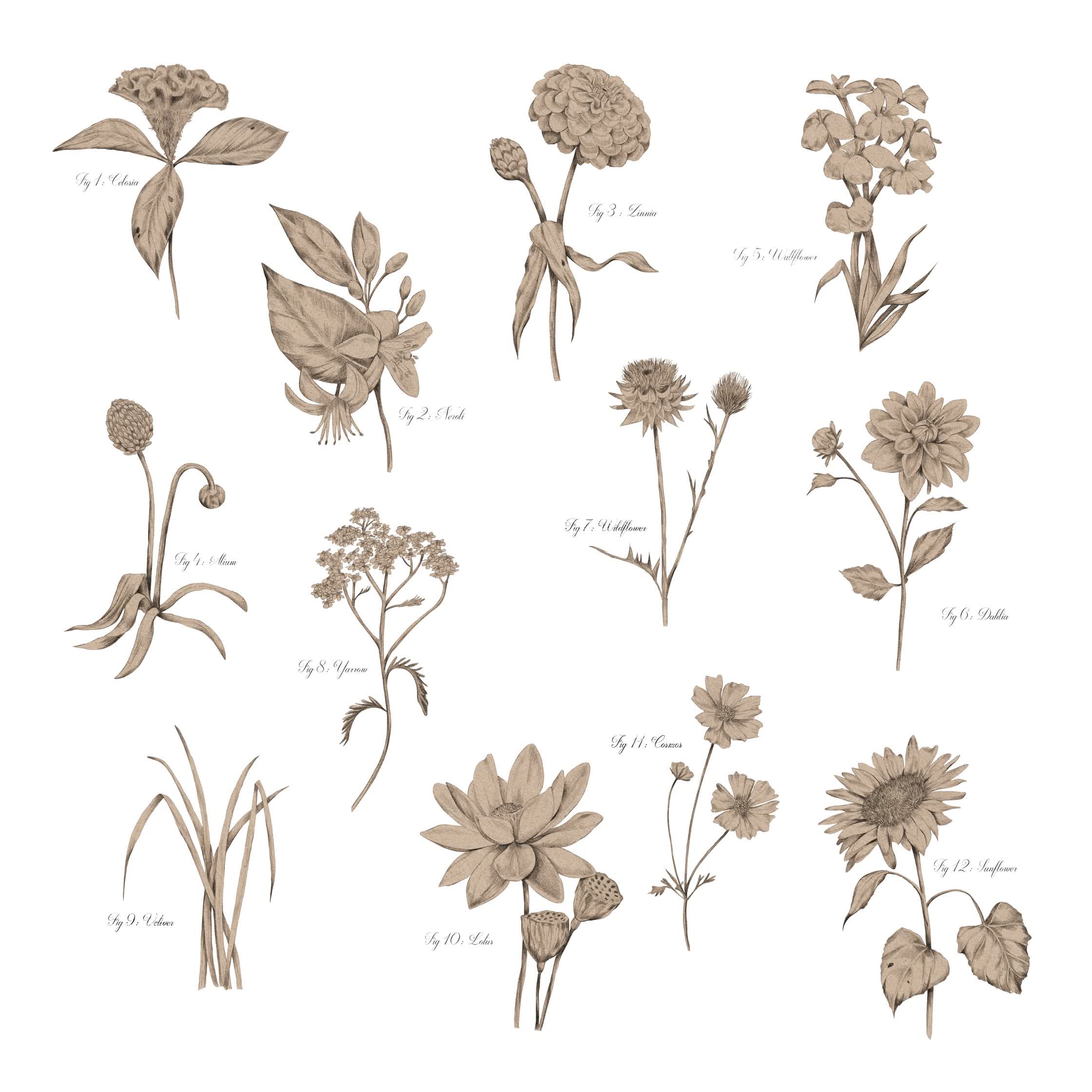 Kelly Thompson_The Avantguard_Flower layup- colour.jpg