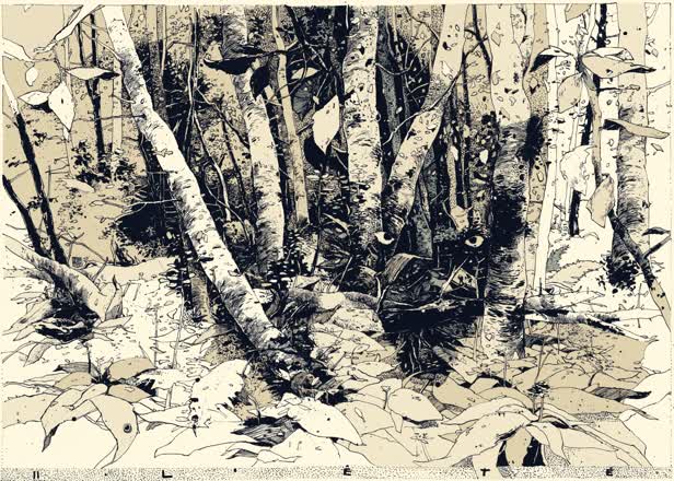 In The Woods 2