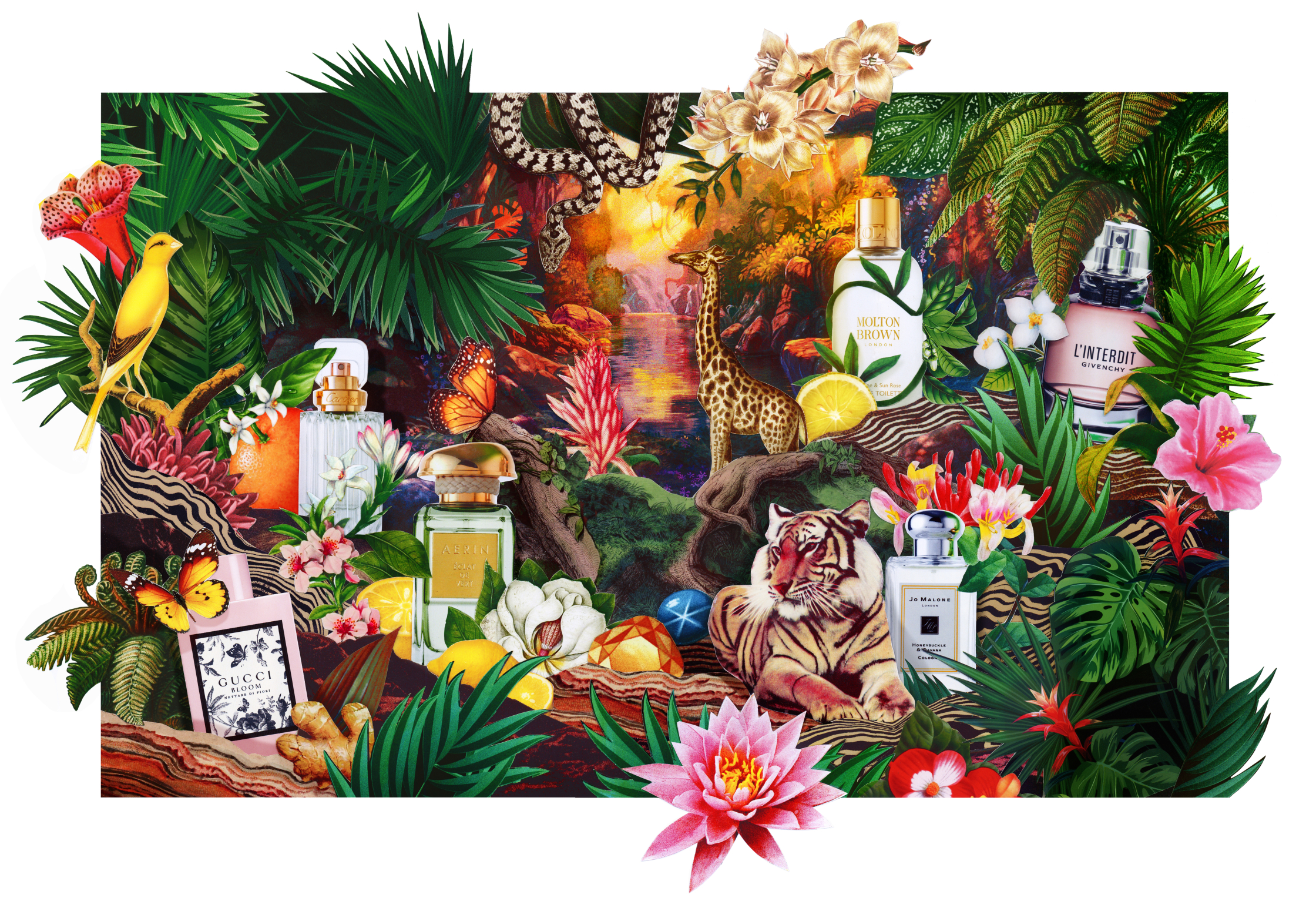SCENTS HR 1 ONEILL©.jpg