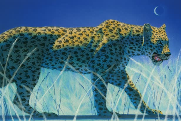 Lillyfield Printing/Vision