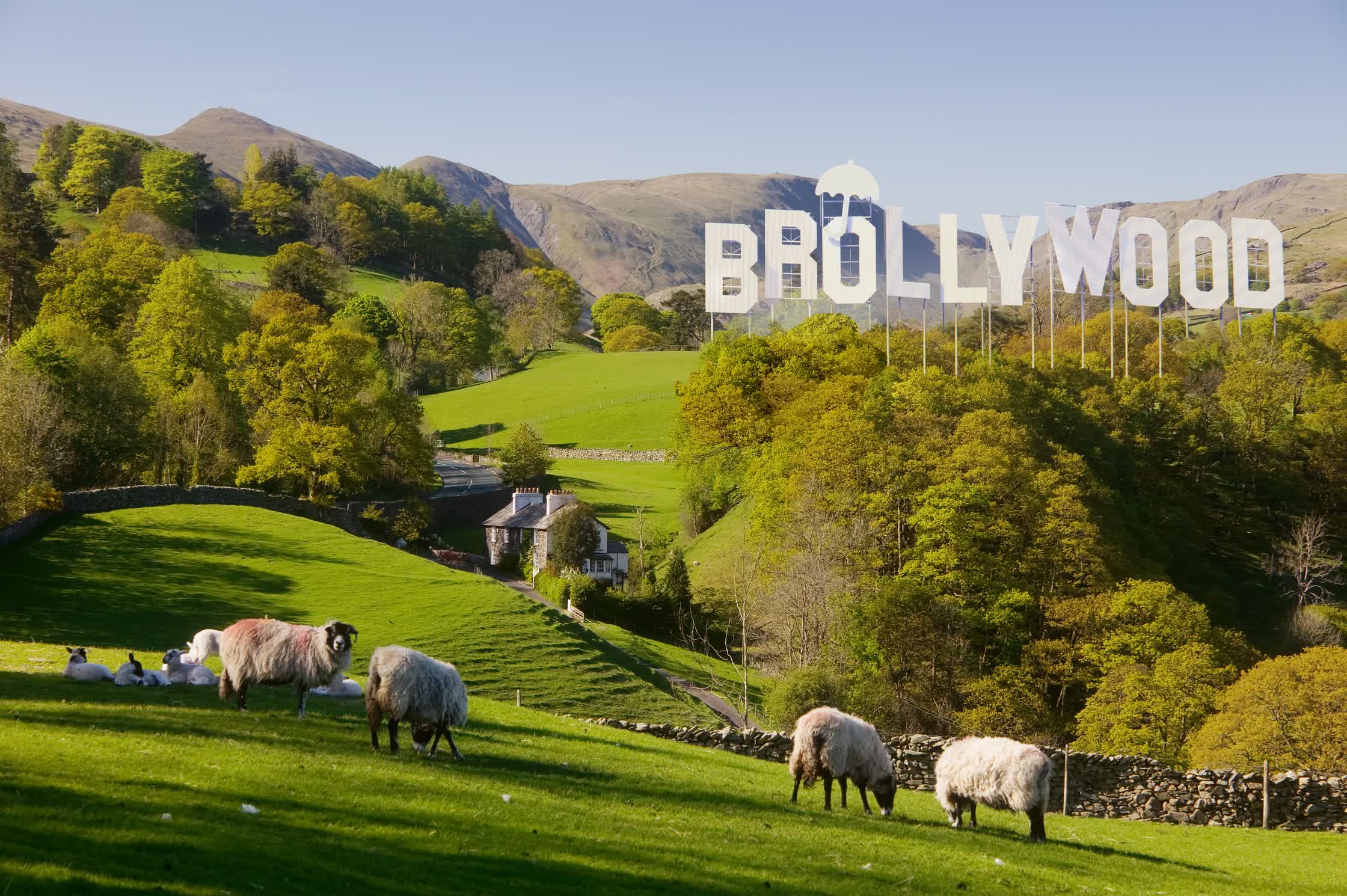 Brollywood_SundayTimes_pcrowther.jpg