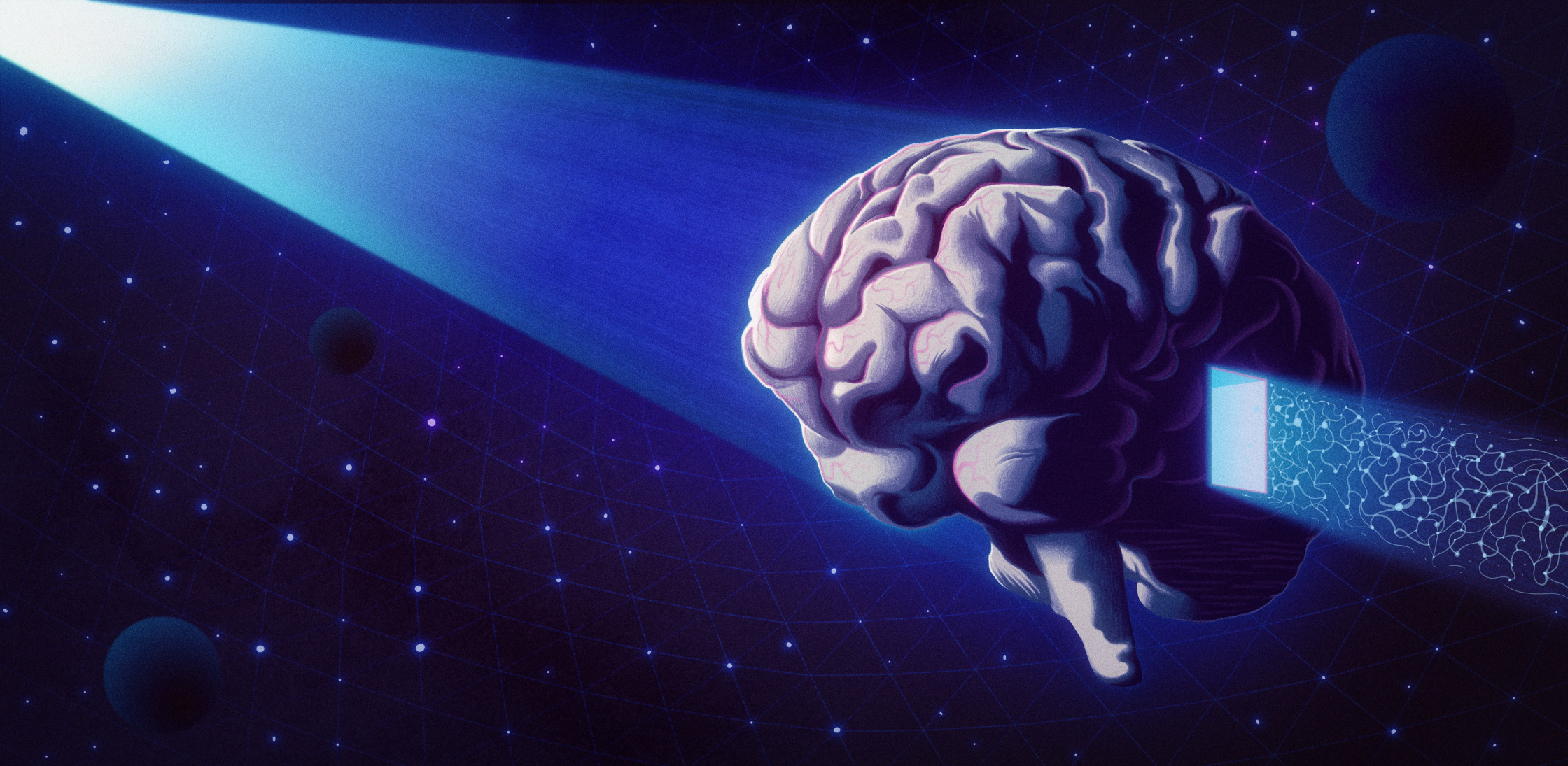 Sam Chivers-Spectrum-Far-side-of-the-brain.jpg