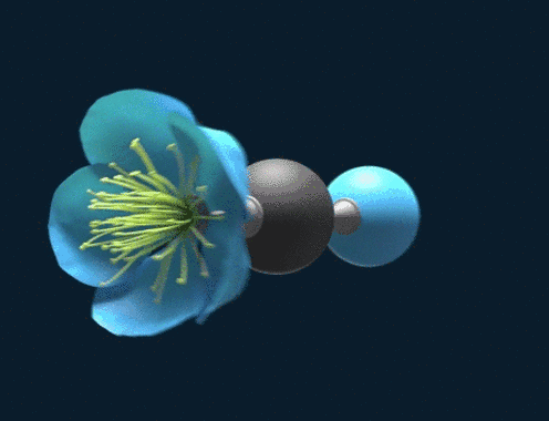 CO2-icon-loop.gif