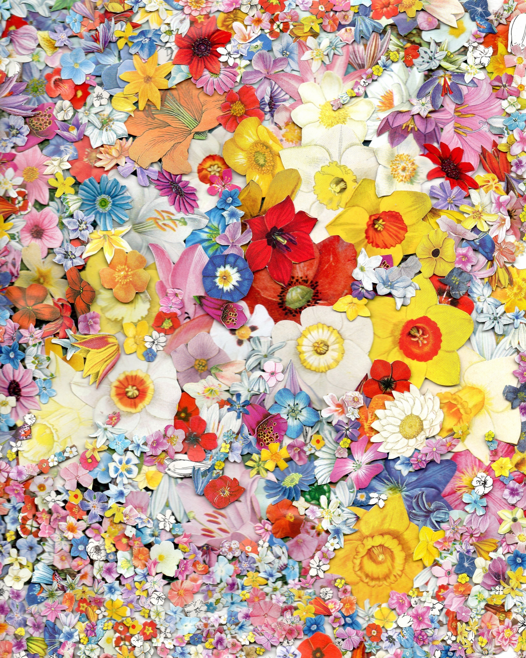 Flowers 2012.jpg