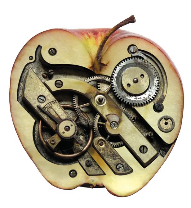 Clockwork Apple NY Times