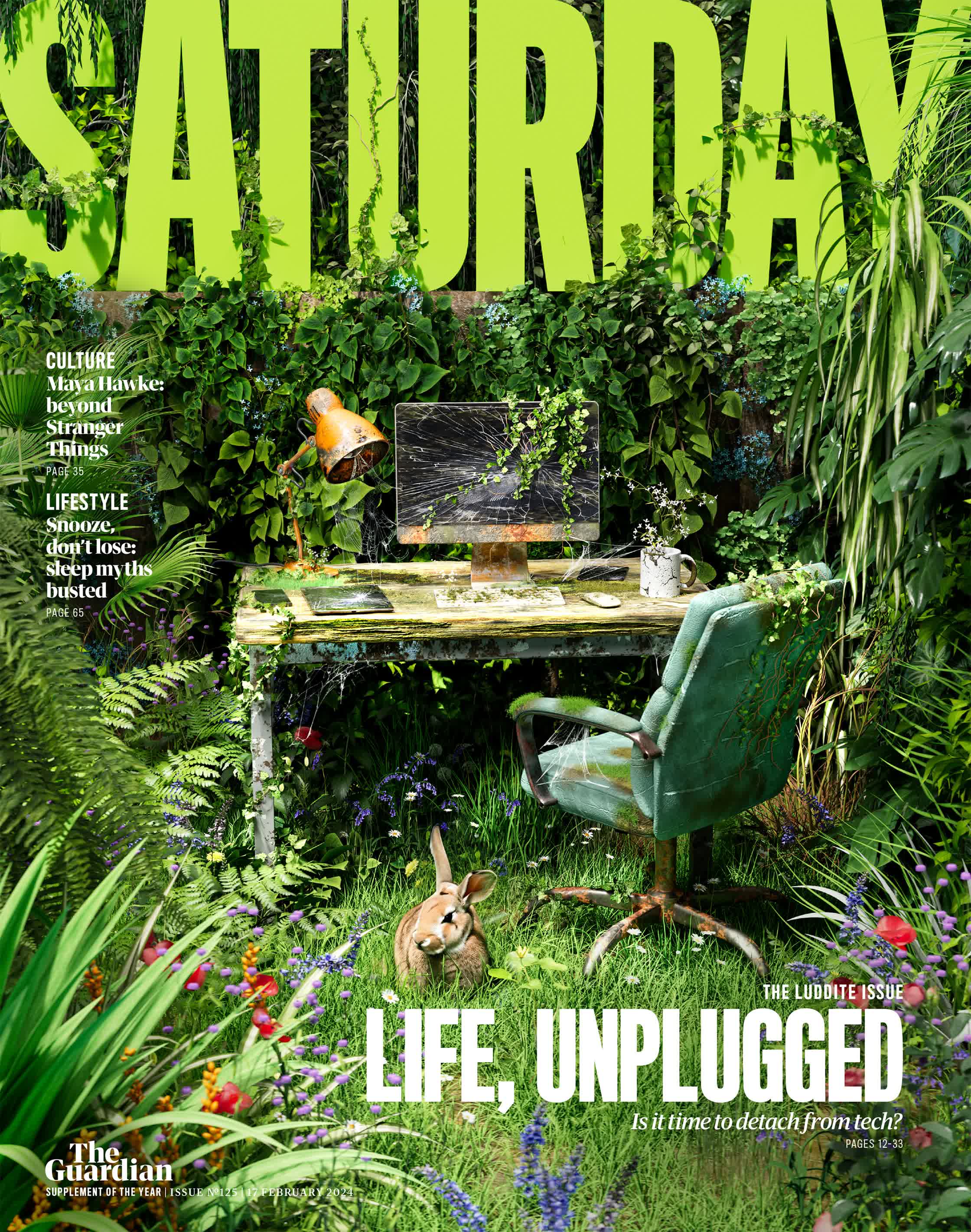 Final Ludite Sat mag cover.jpg