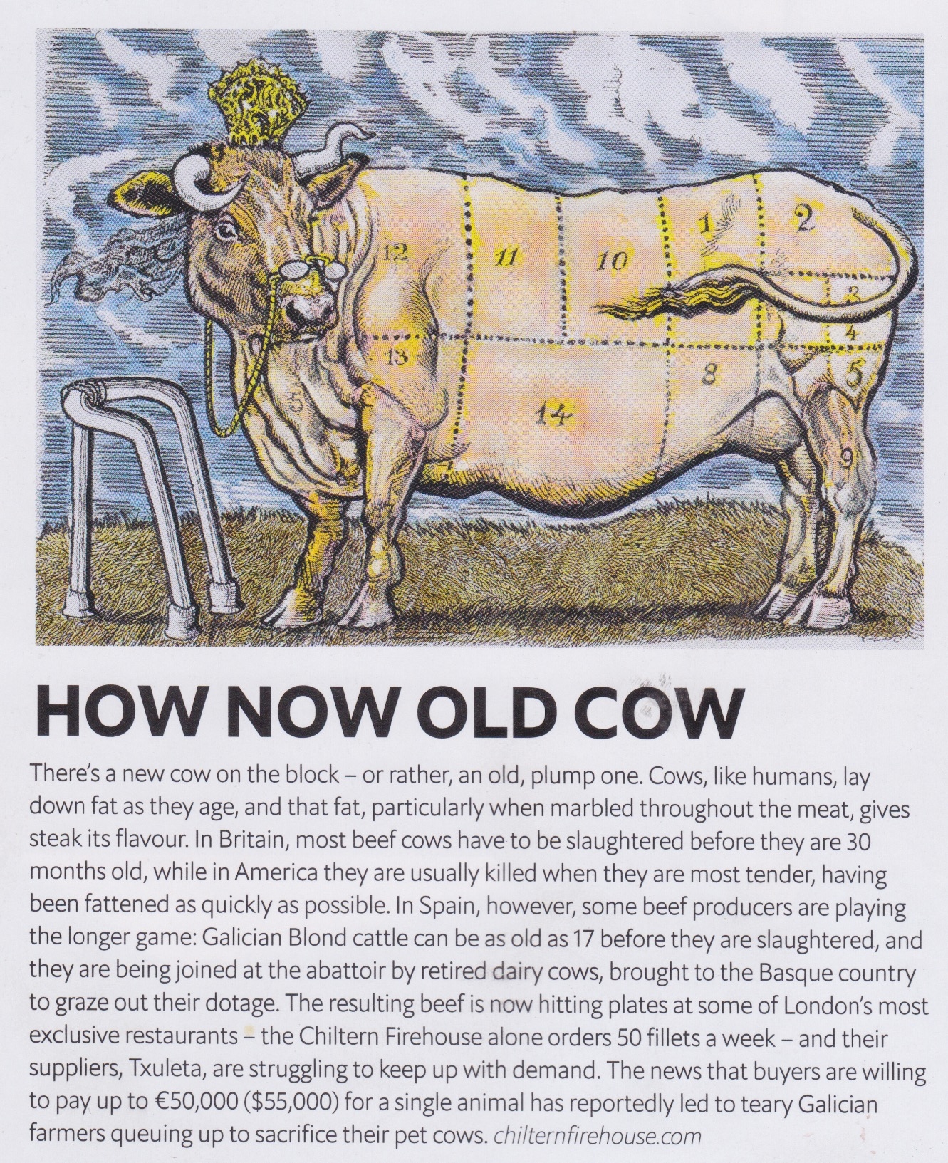 1843 Mag...  Cow.jpg