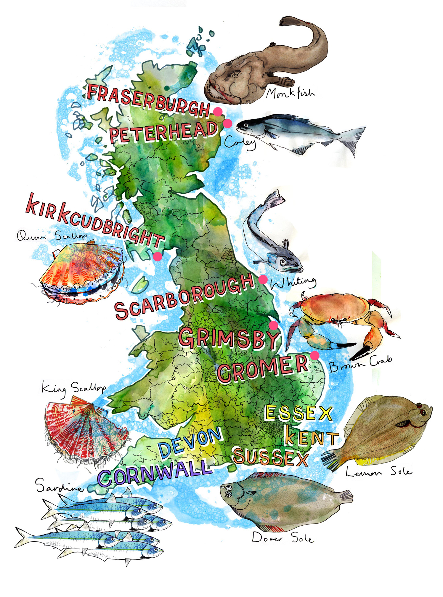British Seafood Map / Sainsbury's Magazine