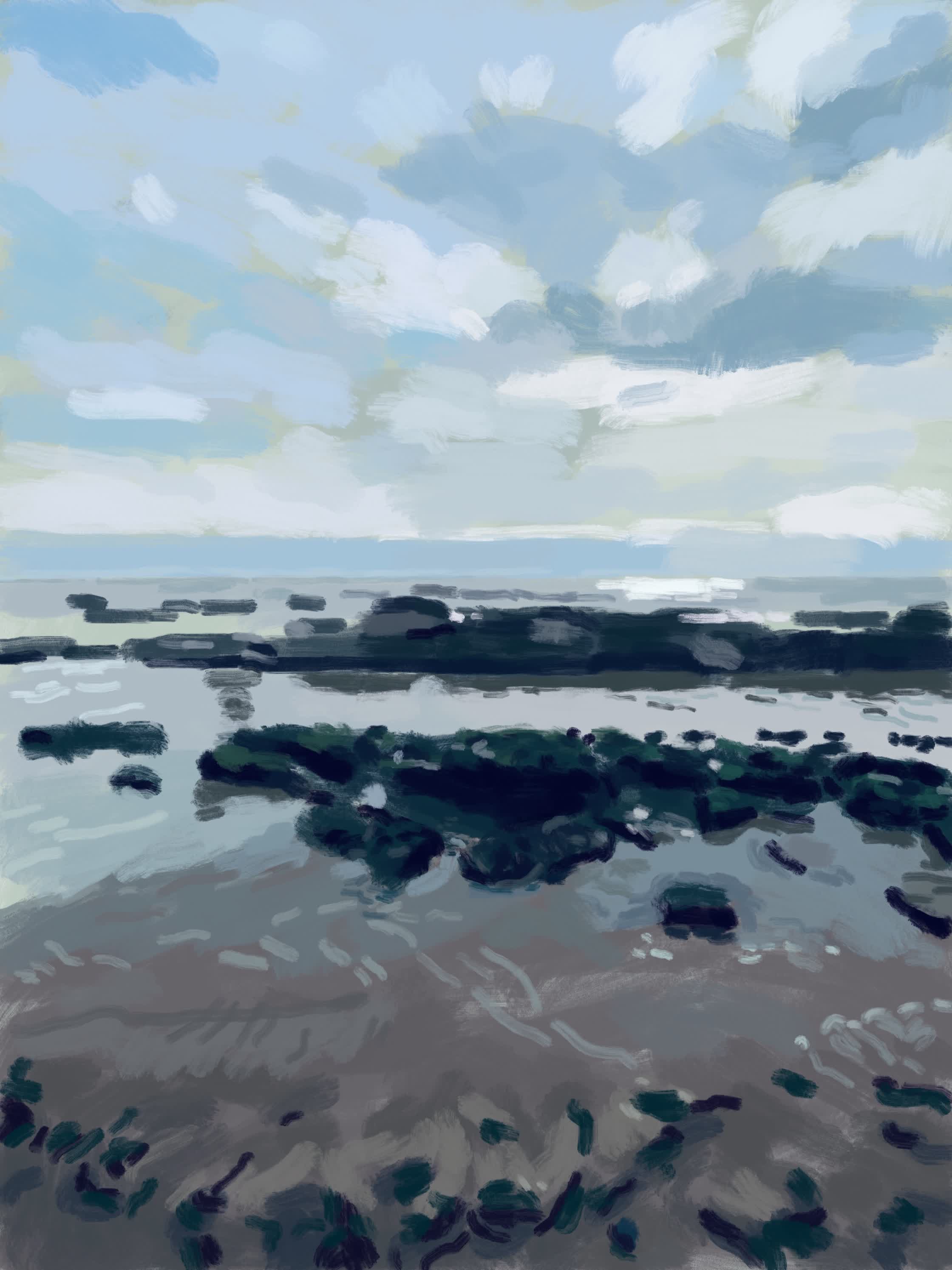 PERSONAL_WORK:'LOW_TIDE':DIGITAL_PAINTING.jpg