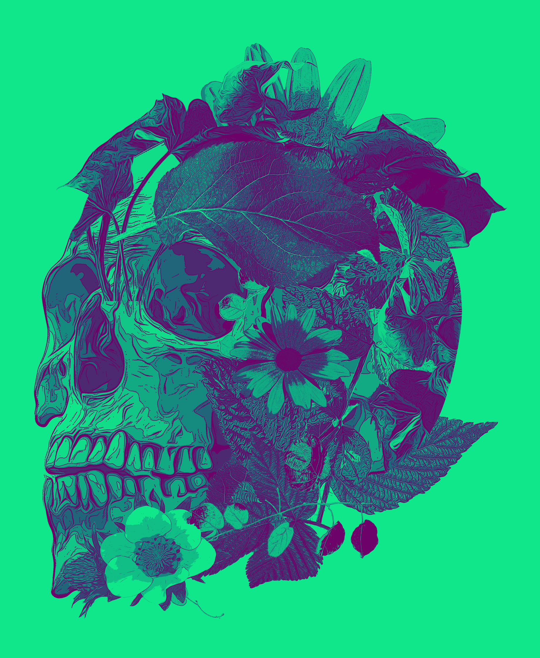 Dead Skulls