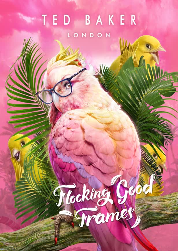 Flocking Good Frames 1 / Ted Baker