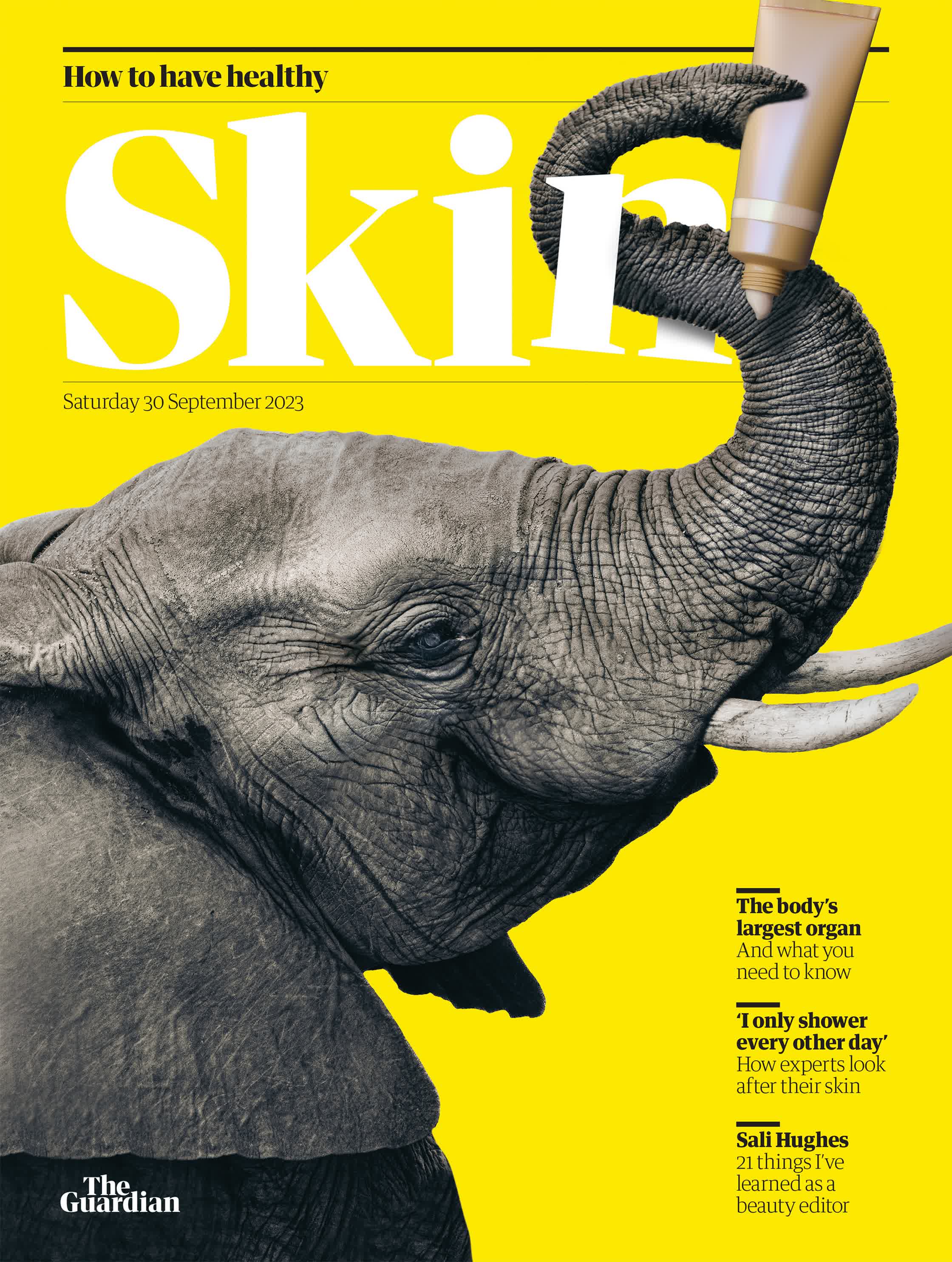skin supplement cover.jpg