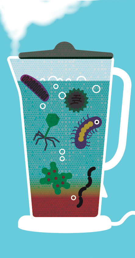 Kitchen bugs copy.jpg