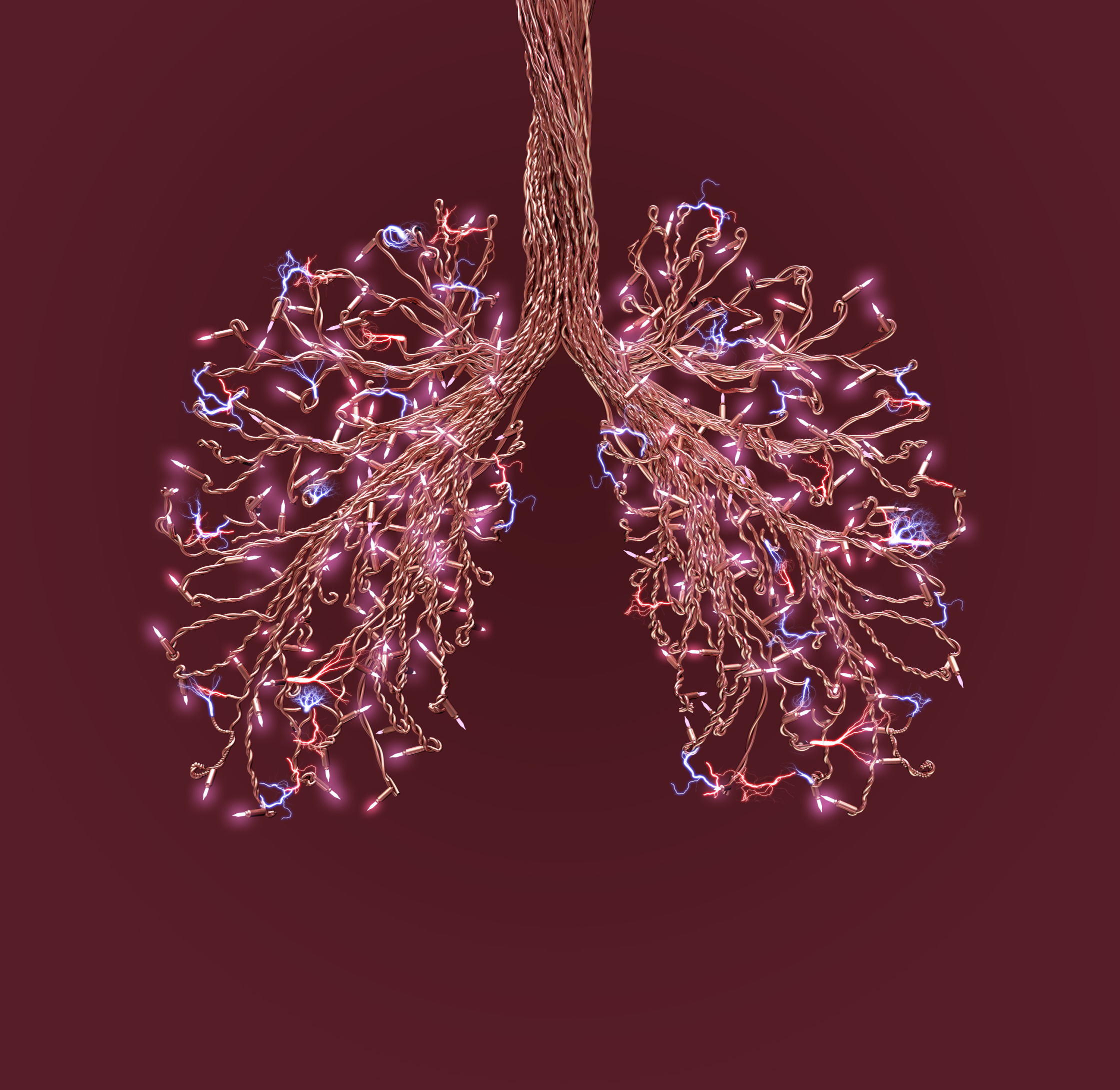 Women's Health 'How to Breath' just lungs.jpg