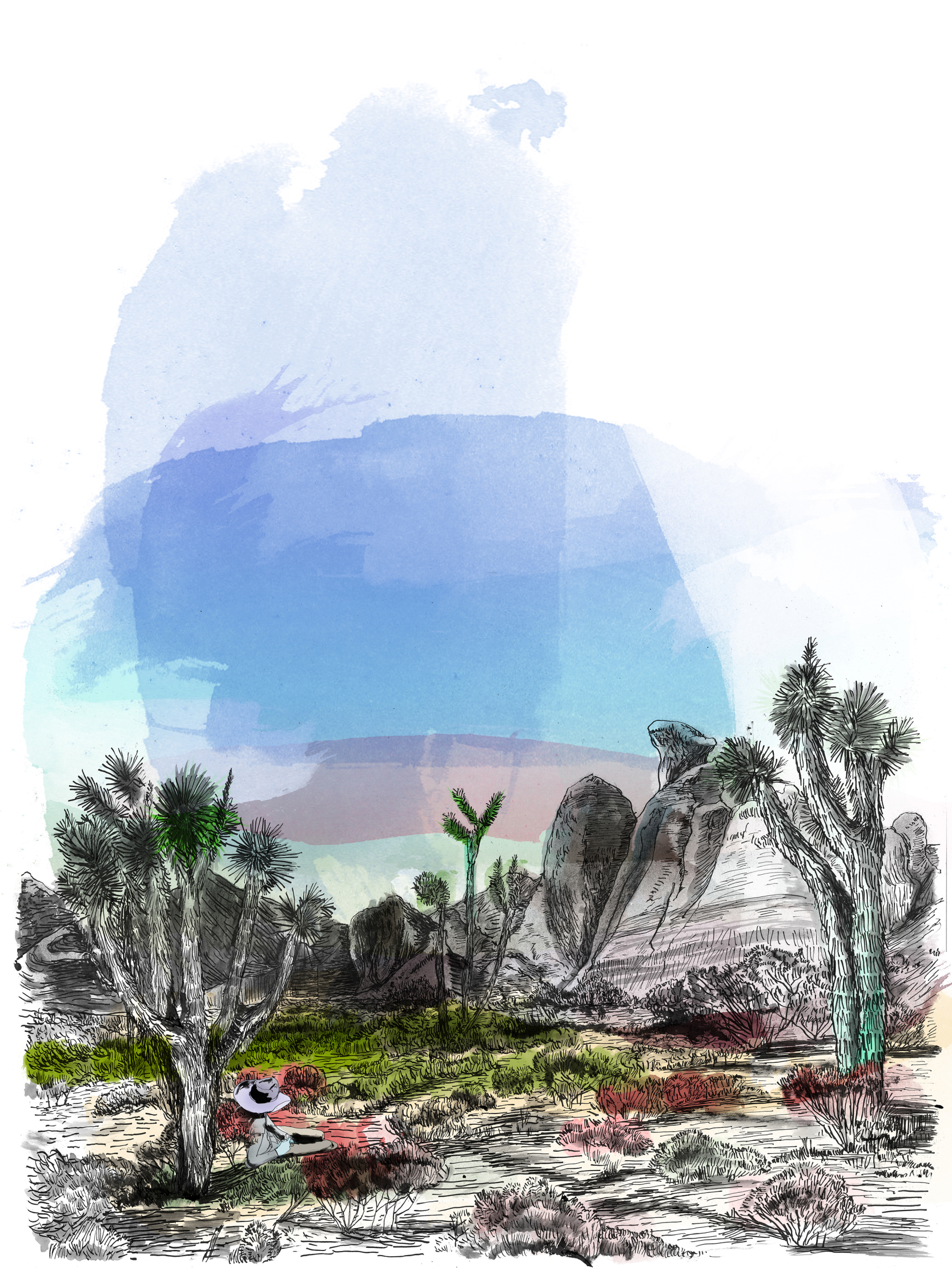 landscape1.jpg