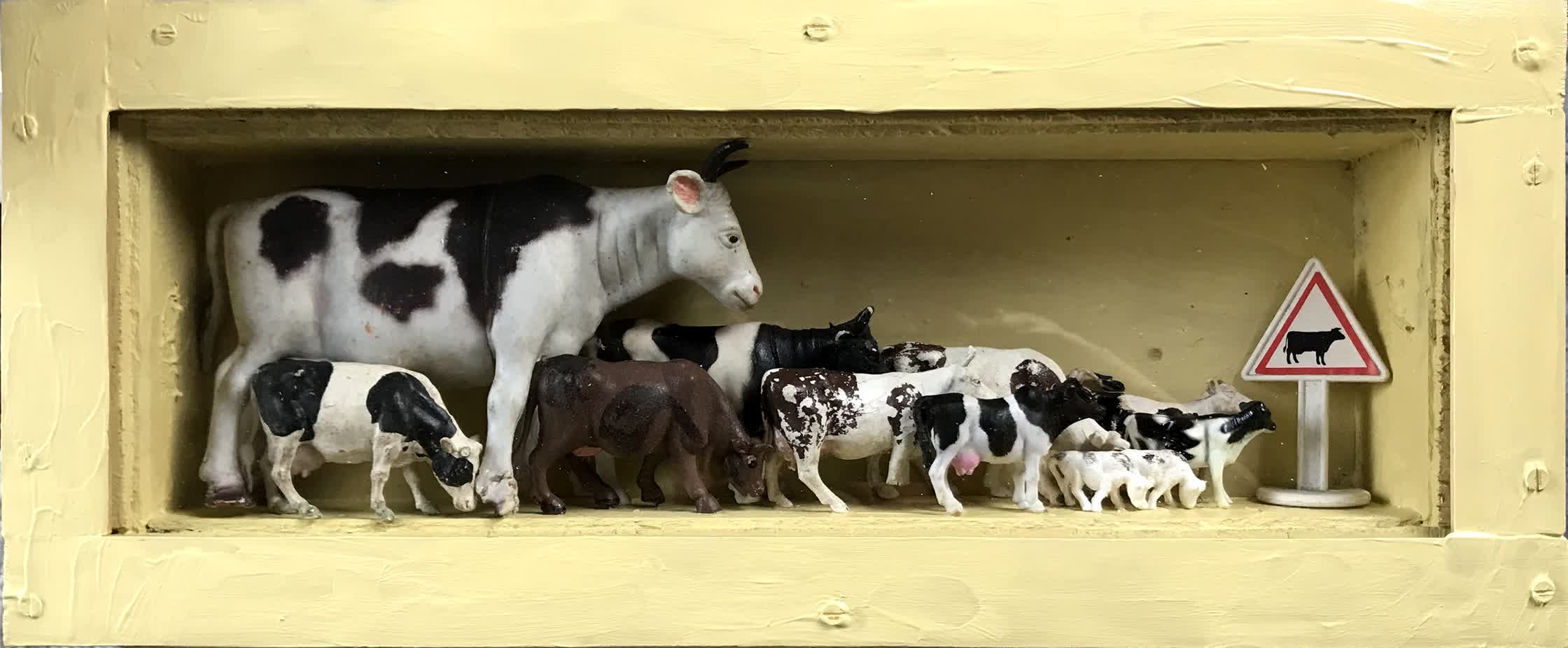 herd.jpg
