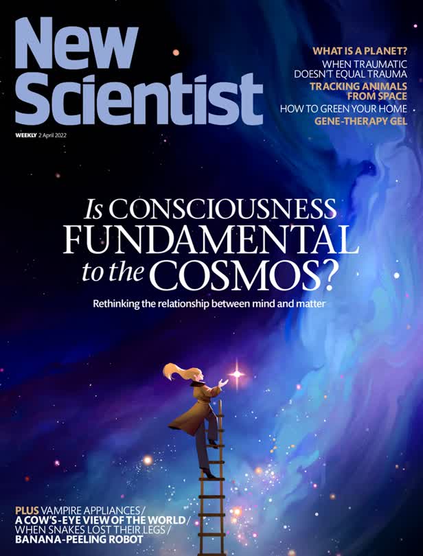 Is Consciousness Fundamental To The Cosmos