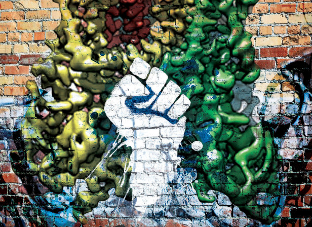 Revolutionary Imaging Graffiti Nature
