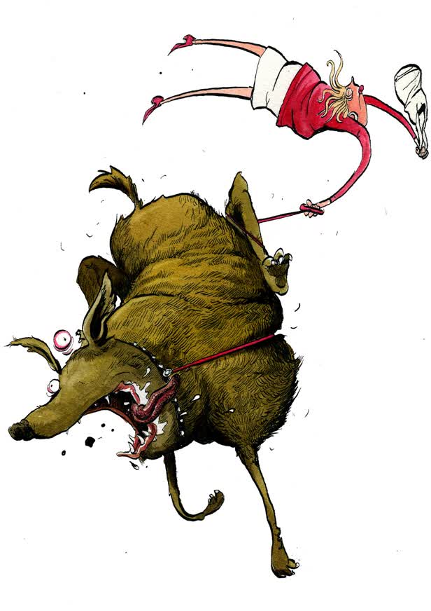 Rabid Dog