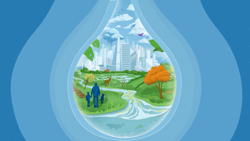 Water GIF / Nature Outlook