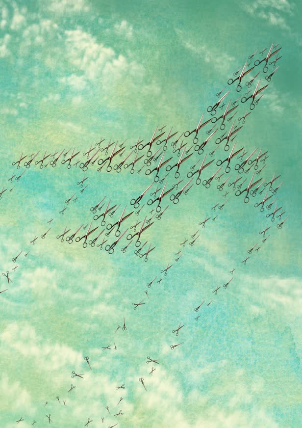 Flight Path