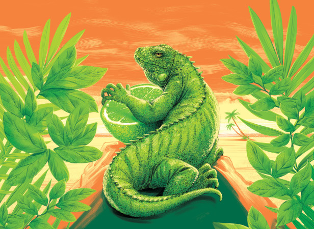 Great Lakes Brewing_mexican lager art SH sml.jpg