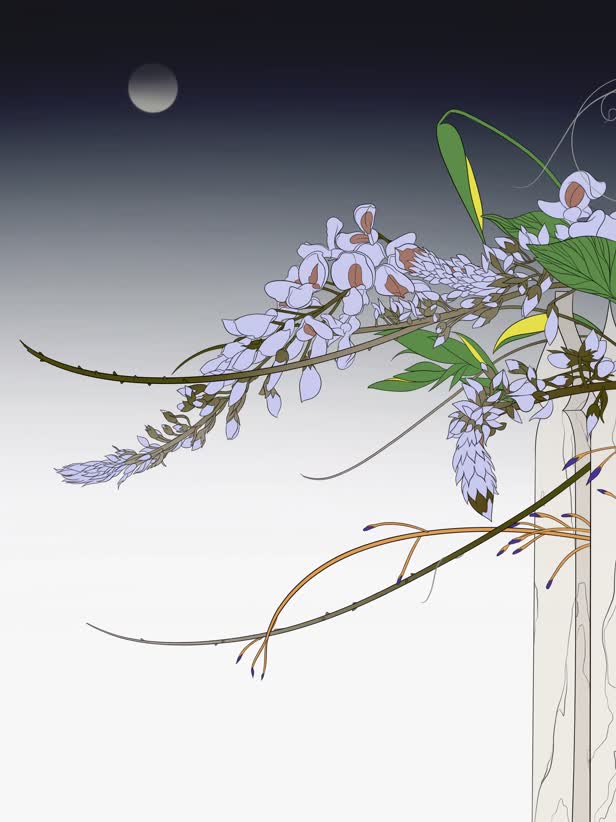 Wisteria / Personal work
