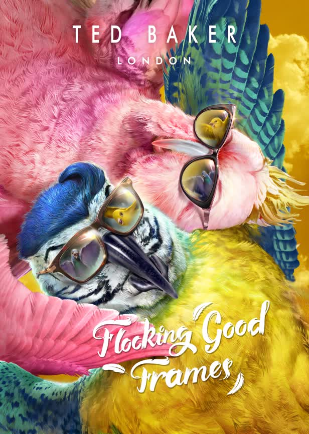 Flocking Good Frames 2 / Ted Baker